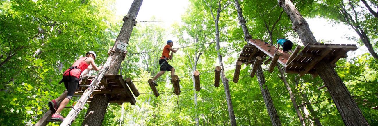 Treetop Trekking banner