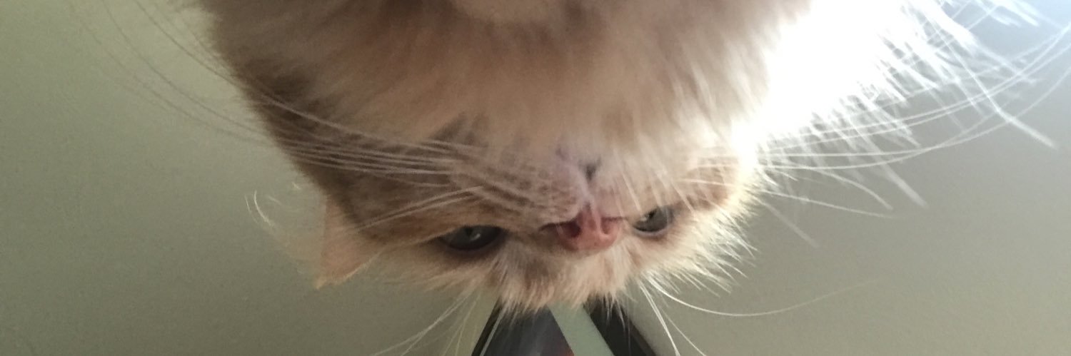 rivermonsterr's profile banner image
