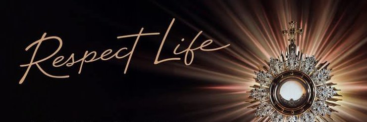 Respect Life Apostolate - Archdiocese of St. Louis banner