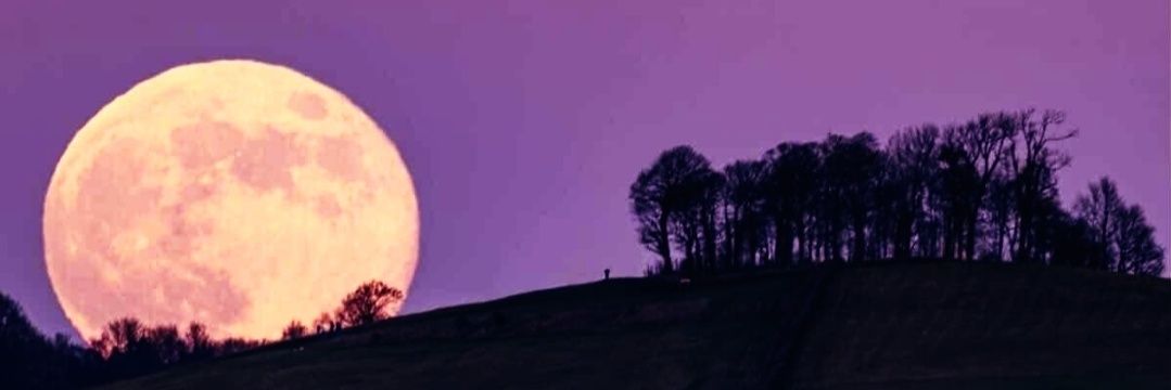 🫎†⸸✞✠ 𝓑run 𝔐arron 𝓓e 𝓛orraine✠✞⸸†🐴 banner