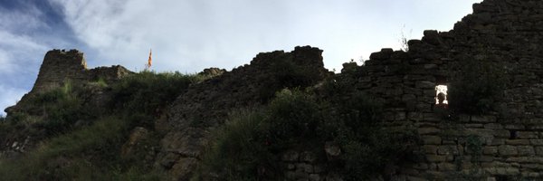 Fustericu2 Profile Banner