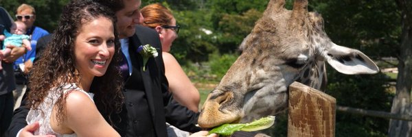 jasonlangsner Profile Banner