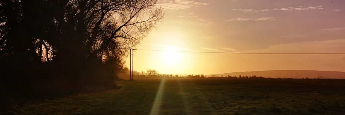 RoxanneSCK's profile banner image