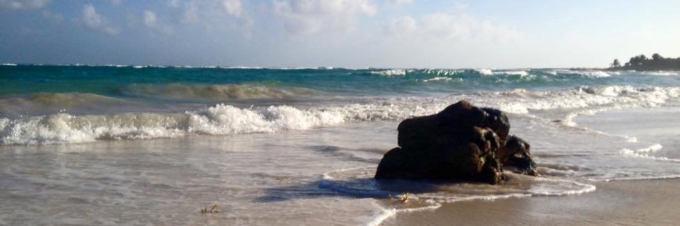 ℙ𝕒𝕦𝕝𝕚𝕟𝕒 💎 banner