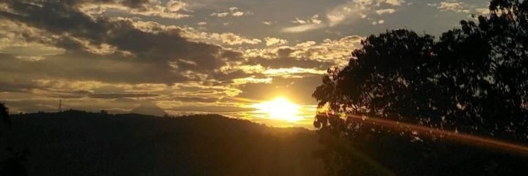 Tan-e-tanha عماره banner