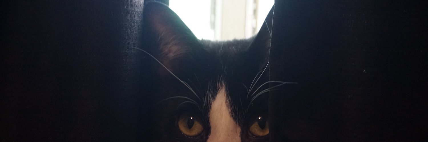 DDoubledogg's profile banner image