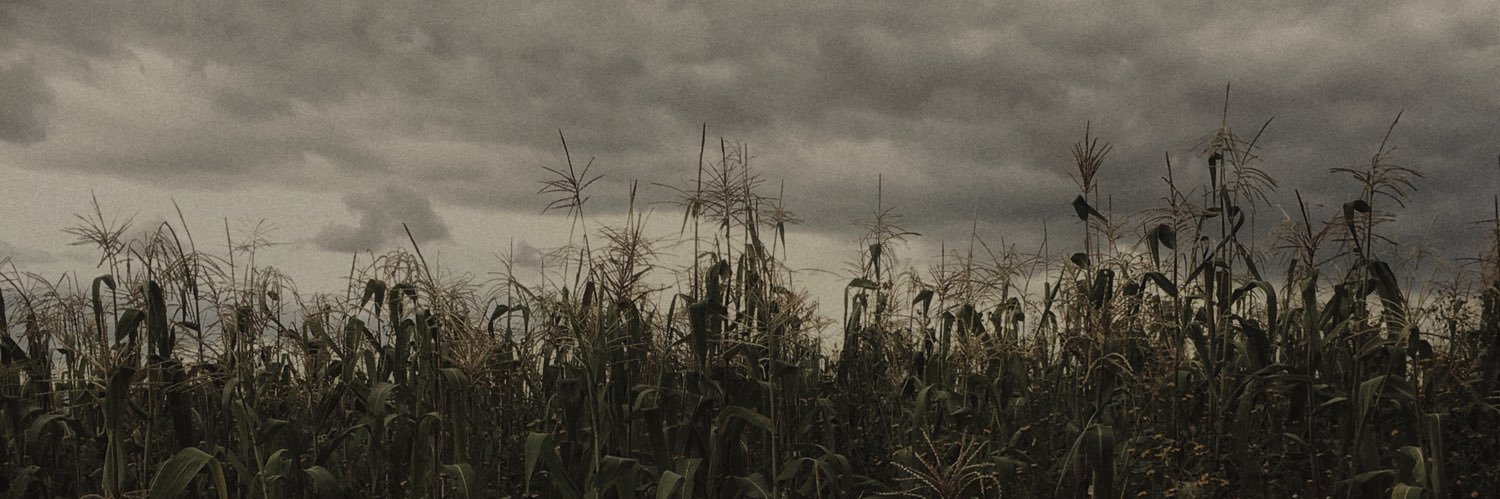 𝐌𝐞𝐱𝐢𝐡 banner