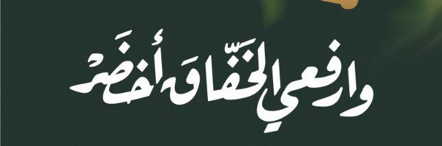 م. منوروفيتش banner