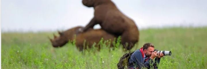 Nihilist_Chiken's profile banner image