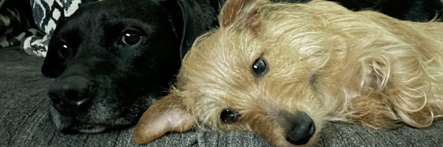 iBoostedThis's profile banner image