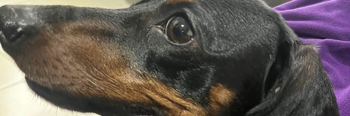 AngelVillarre29's profile banner image