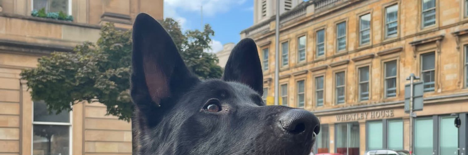 young_bucket's profile banner image