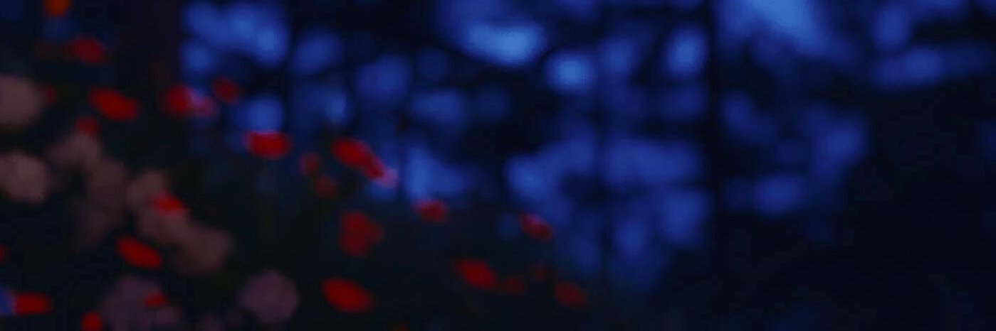 parafearless's profile banner image
