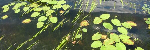 John_Size Profile Banner