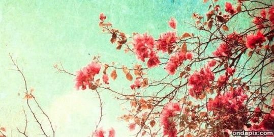 Saramq14's profile banner image