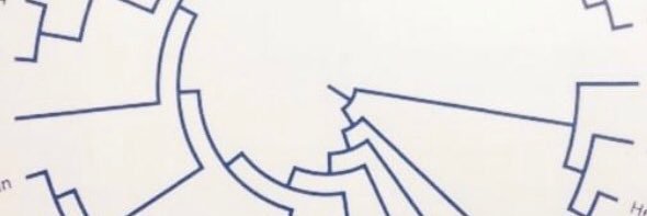SetiamargaD's profile banner image