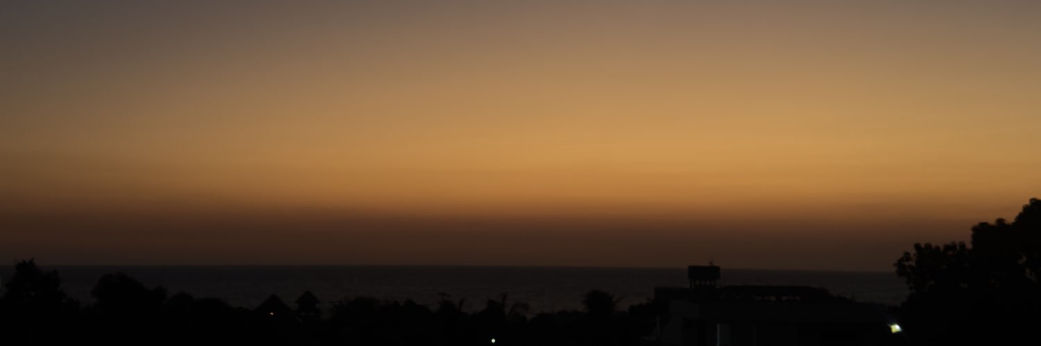 C. banner