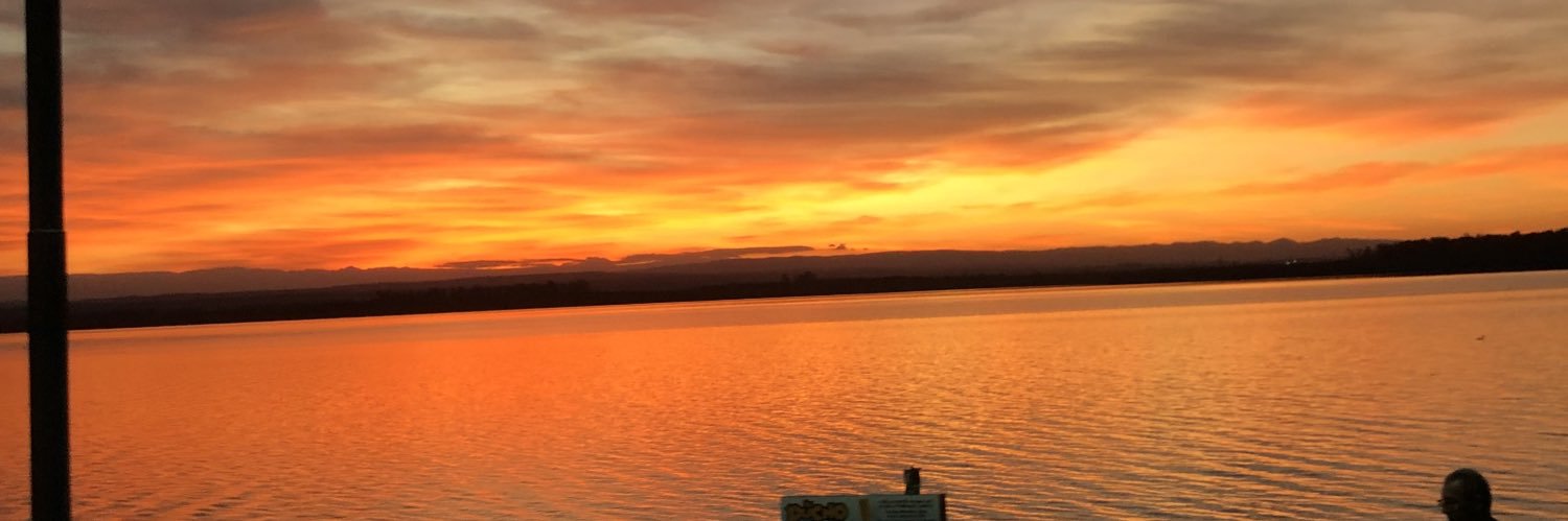 joseeviale's profile banner image