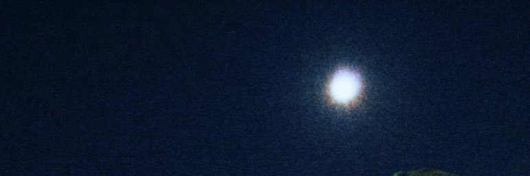 Maks 🇧🇿 banner