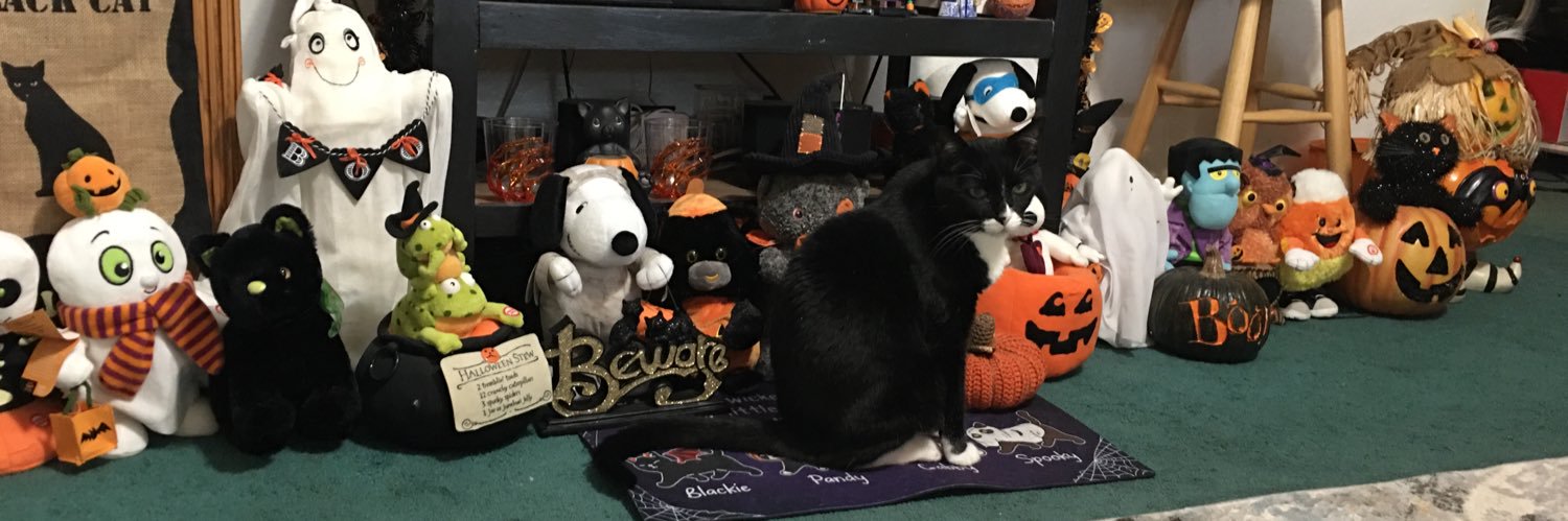 Mindy777's profile banner image