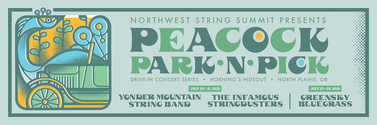 Northwest String Summit banner