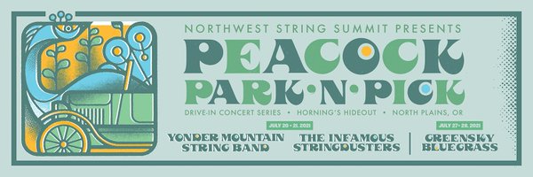 StringSummit Profile Banner