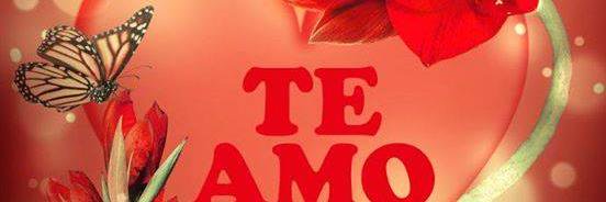Ginalo13's profile banner image