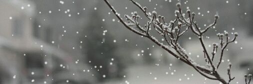 naiaranikitenko's profile banner image