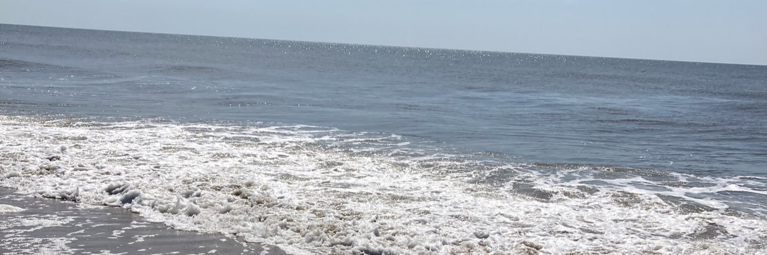 JenL 🇬🇧🇺🇸 banner