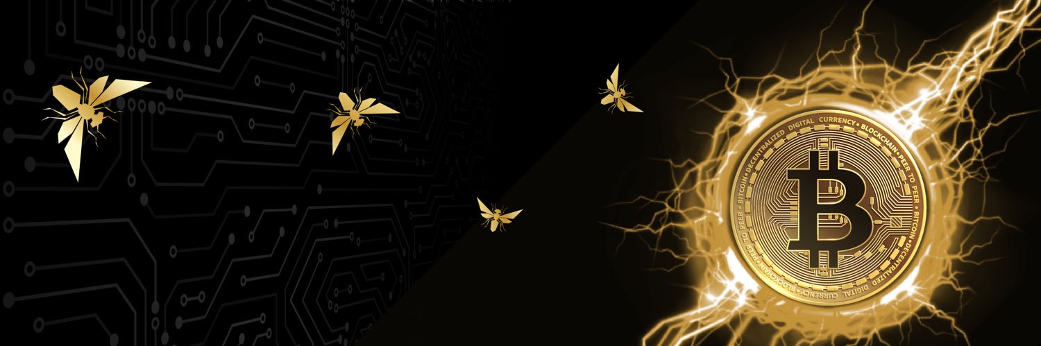 MaxHyperbolic's profile banner image