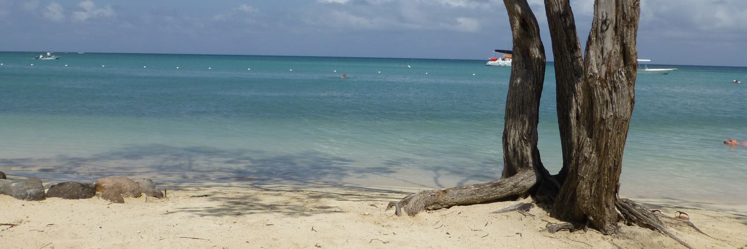 reggaecloud's profile banner image