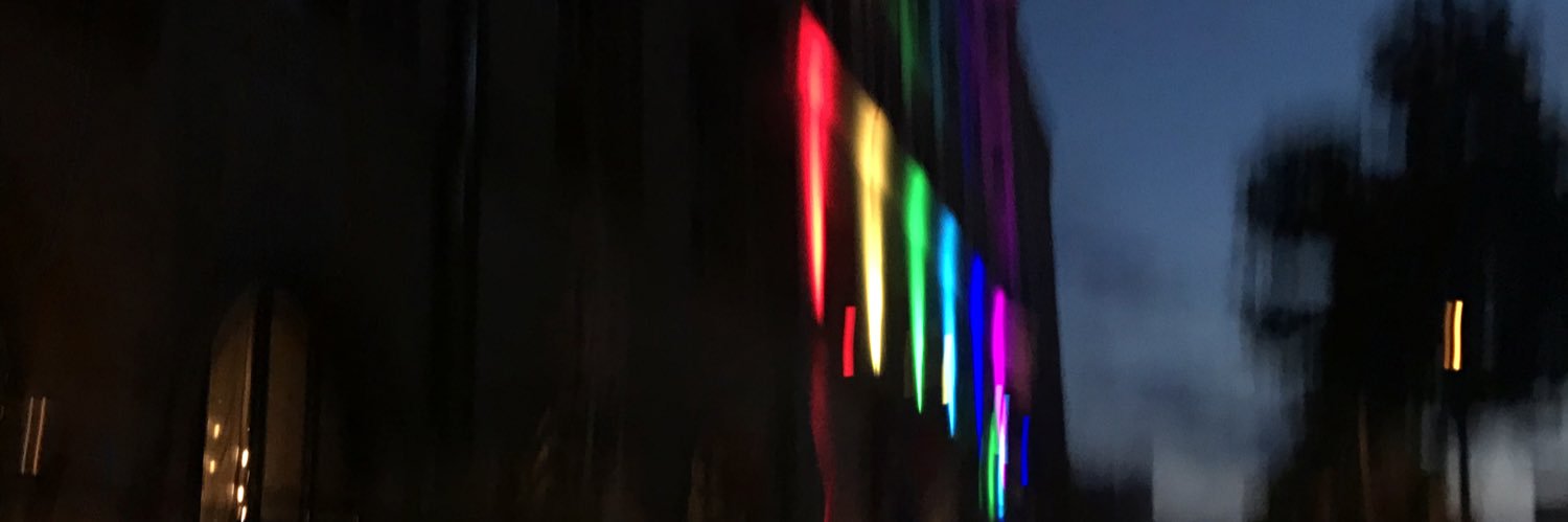 queeridiots's profile banner image