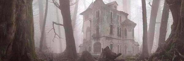 LilaPerfume Profile Banner