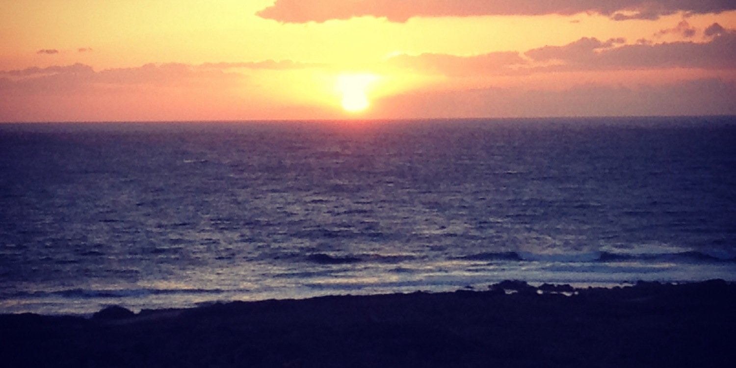 johannahwang's profile banner image