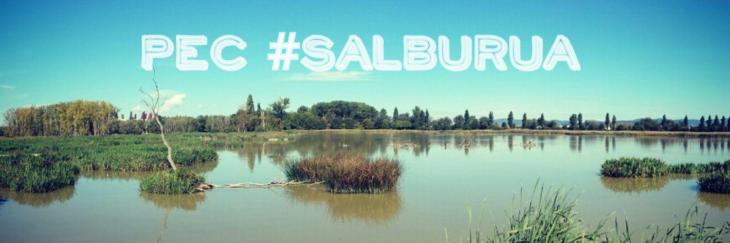 PECSalburua's profile banner image