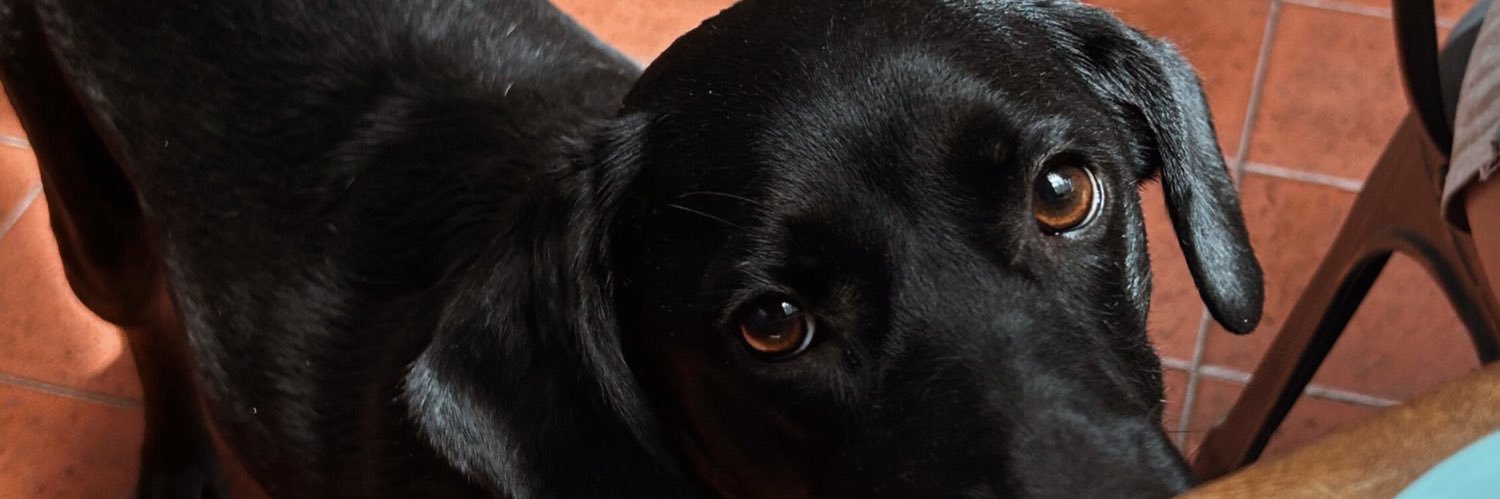 pasionlu's profile banner image