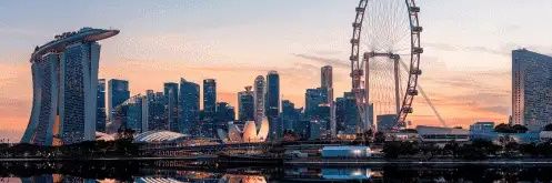 Dragon Capital Markets - International Formations banner