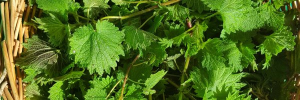 FoodforRealFest Profile Banner