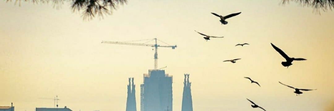 teo_barca's profile banner image