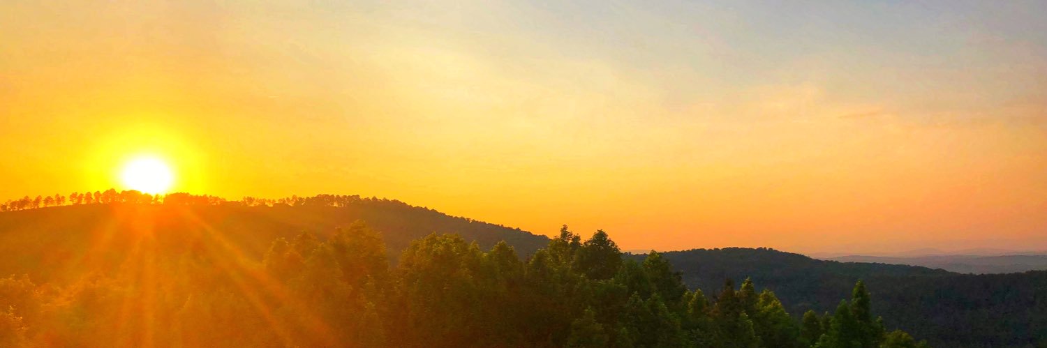 Stefanie Hartman banner