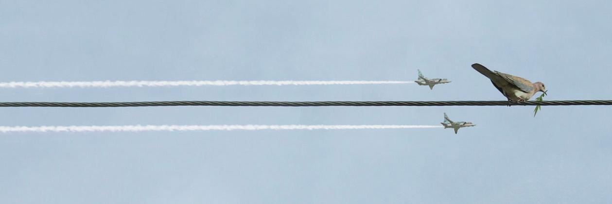 leen_murad's profile banner image