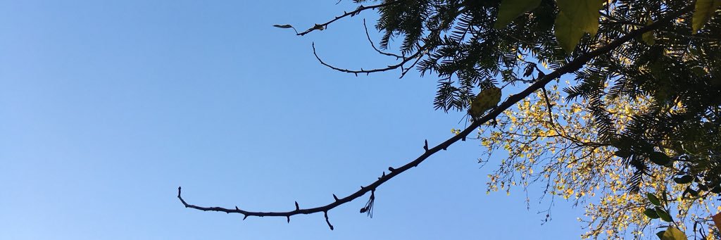 HowittChris's profile banner image