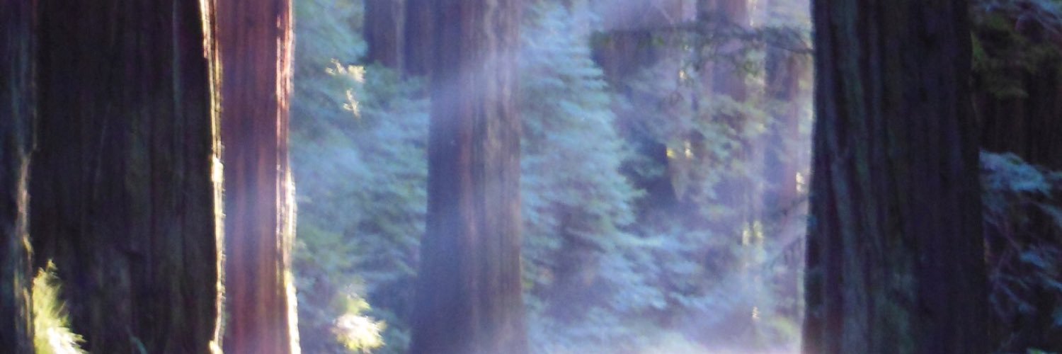 CreativeDepict's profile banner image