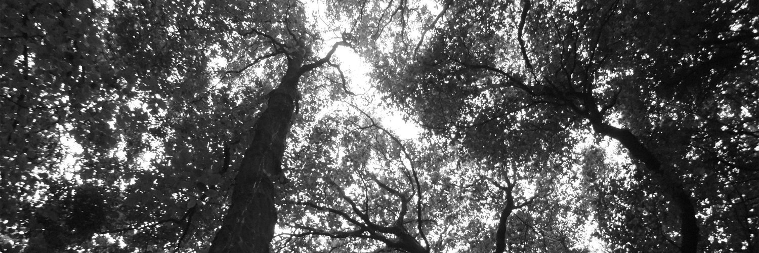 DeadMould's profile banner image