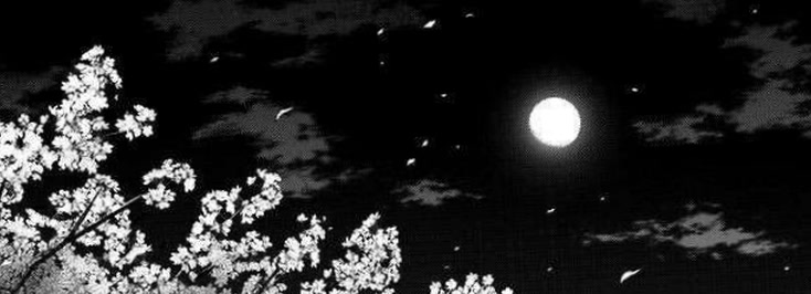 snugglyluuna00's profile banner image