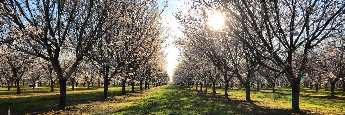 Luke Milliron banner