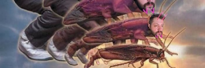 spinnen_mann's profile banner image