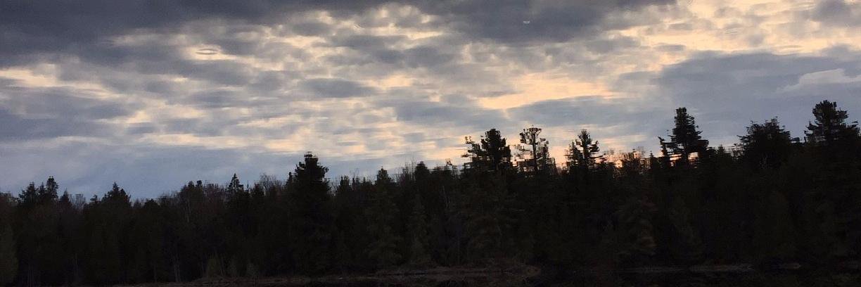 eefholmes's profile banner image