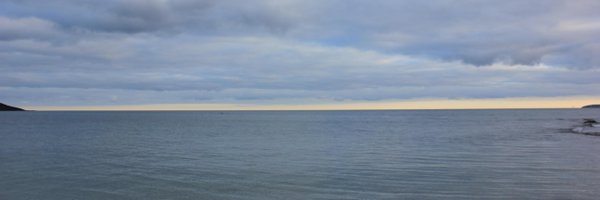 GuillemotPress Profile Banner