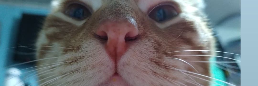 Pamcito__M's profile banner image